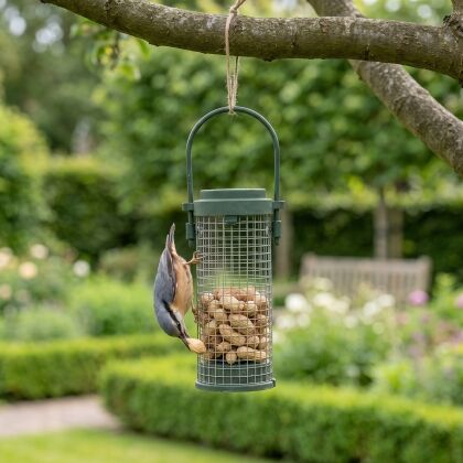 Boomklever eet pinda's uit kleine pindasilo