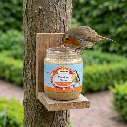 Roodborstje eet Vogelpindakaas Classic uit pot in houder