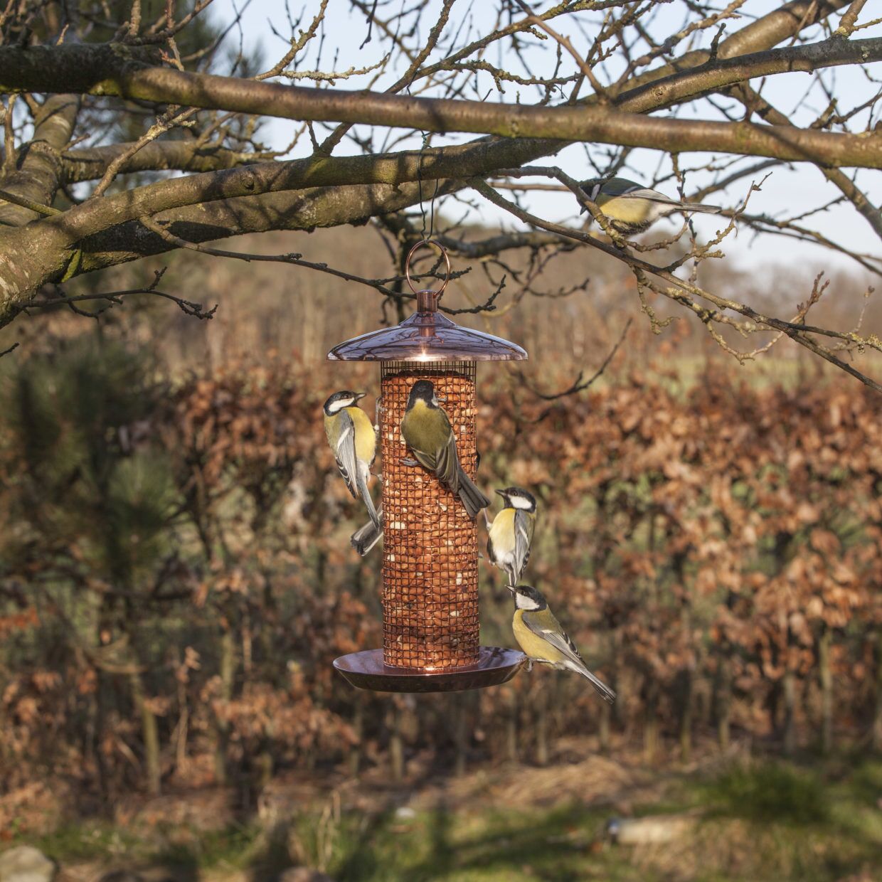 vogelvoer ophangen