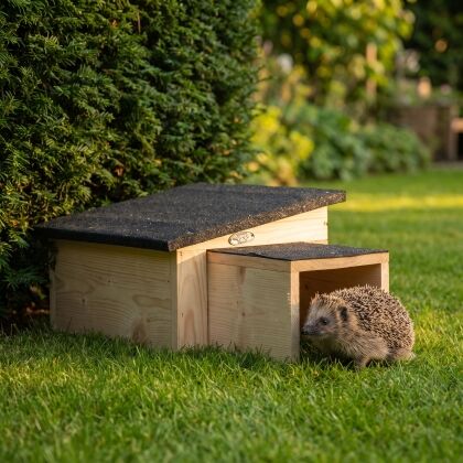Egel bij egelhuis Eggi in de tuin