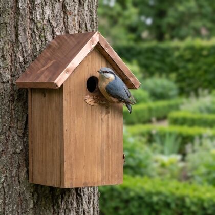 Boomklever bij Elegante nestkast Luna voor pimpelmezen