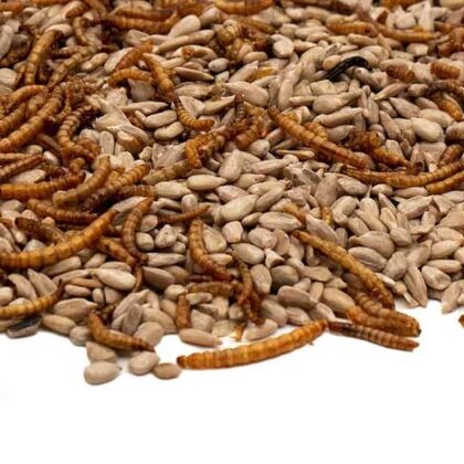 Gepelde zonnebloempitten met meelwormen