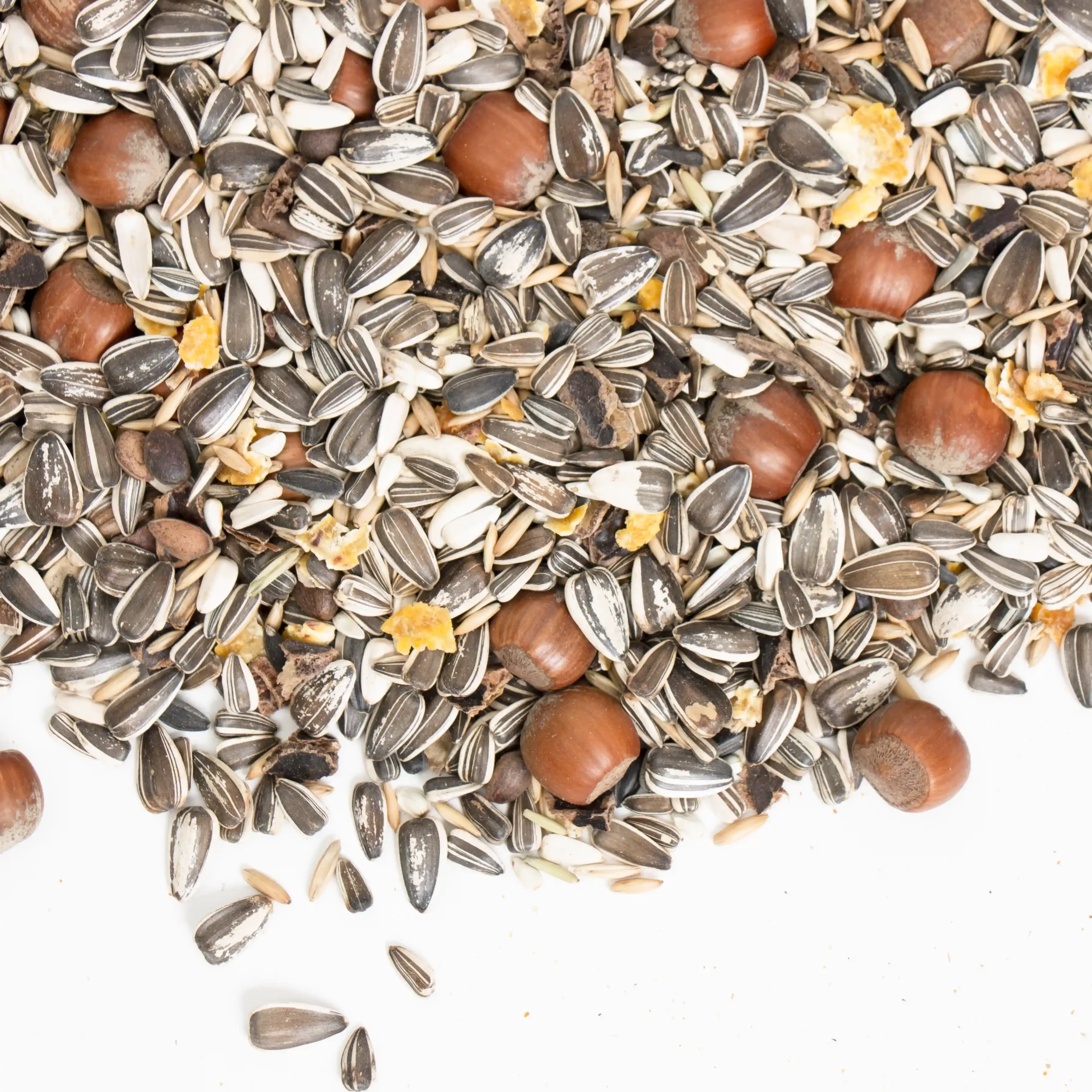 Premium Eekhoorn mix voer bulk verpakking