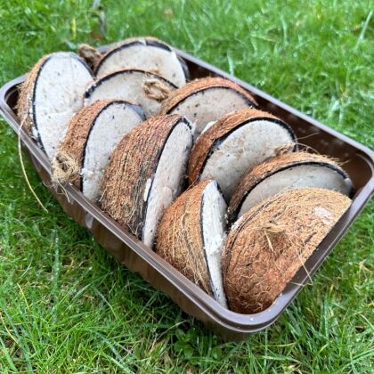 vogelvoer kokosnoten