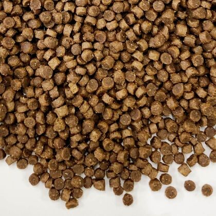 premium egelvoer hoog aandeel vlees - vogelvoerkopen.nl