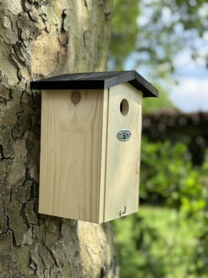 Nestkast Pim voor pimpelmezen - Houten vogelhuisje bevestigd aan een boomstam.