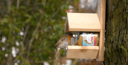 Vogelpindakaas Mix Pakket - Afbeelding 4