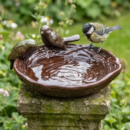 Koolmees bij een nestvormig keramieken vogelbad