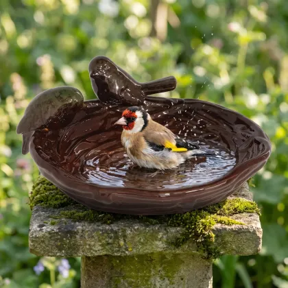 Putter baddert in een nestvormig keramieken vogelbad