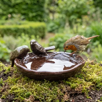 Roodborst drinkt uit een nestvormig keramieken vogelbad