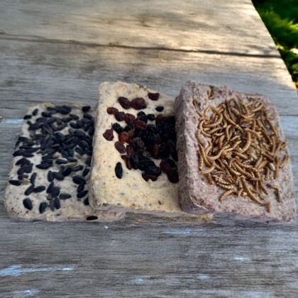 Drie zaden- fruit en meelworm vetblokken op houten tafel.