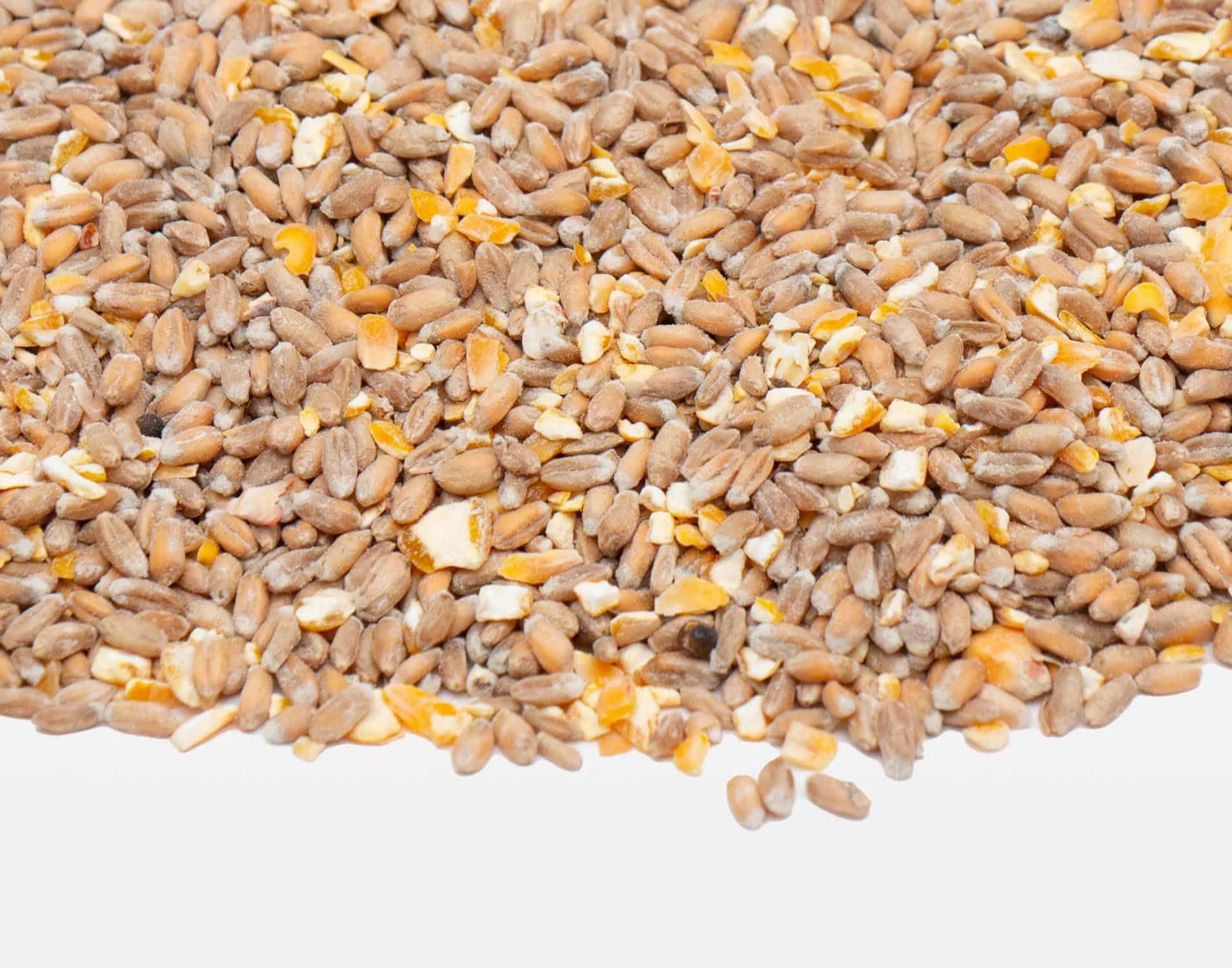Kippenvoer Premium Gemengd Scharrelgraan Vogelvoerkopen