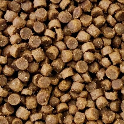 premium egelvoer hoog aandeel vlees - vogelvoerkopen.nl