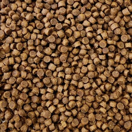 premium egelvoer hoog aandeel vlees - vogelvoerkopen.nl