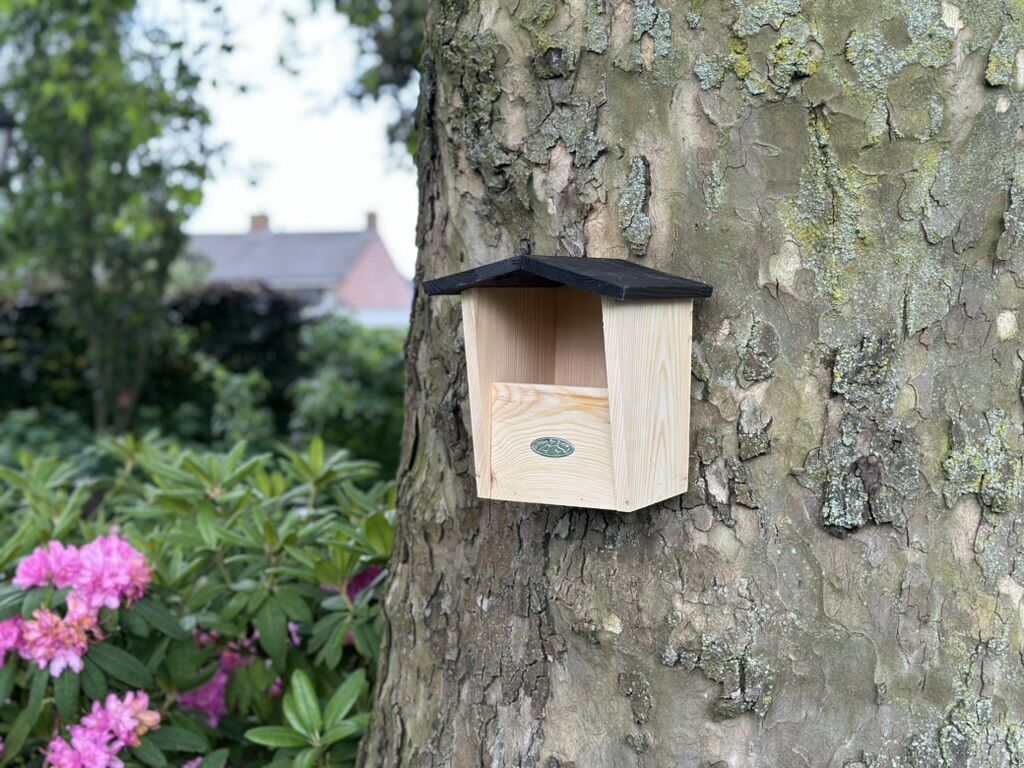 Nestkast Rubi, speciaal ontworpen voor roodborsten, bevestigd aan een boom