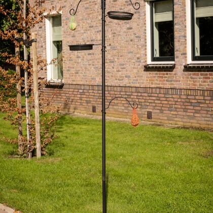 vogelvoerhouder met waterschaaltjes, strooivoer, zaden en vetbollen in tuin.