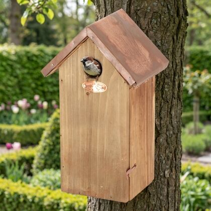 Huismus bij Luxe nestkast Olav voor koolmezen