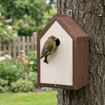 Groenling bij Nestkast Nutan