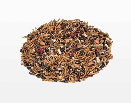 Strooivoer Excellent Meelworm en Fruit - Afbeelding 4