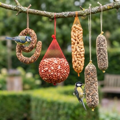 Mezen eten van vogelvoerslingers uit het grote slingerpakket