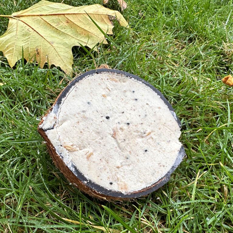 Halve gevulde kokosnoot - High Energy - 10 pack - Afbeelding 2