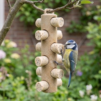 Pimpelmees eet uit kunststof vetstaafjeshouder met 6 vetstaafjes