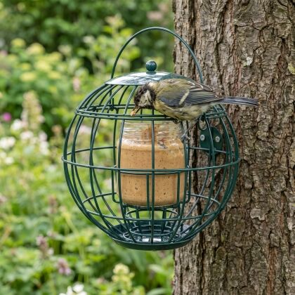 Koolmees eet vogelpindakaas uit pothouder London