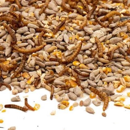 Strooivoer High Energy & No Mess met Meelwormen