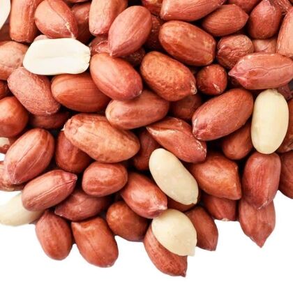 premium gepelde pinda's voor vogels voeren in de tuin