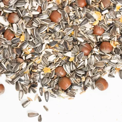 Premium Eekhoorn mix voer bulk verpakking