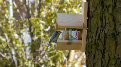 vogelvoer kopen vogelpindakaas tuinvogels