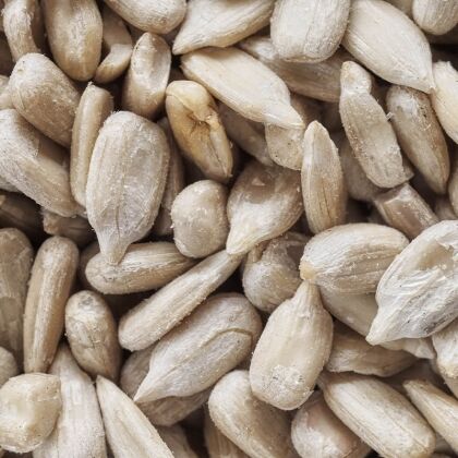 Close-up van gepelde zonnebloempitten voor vogels - vogelvoer kopen.