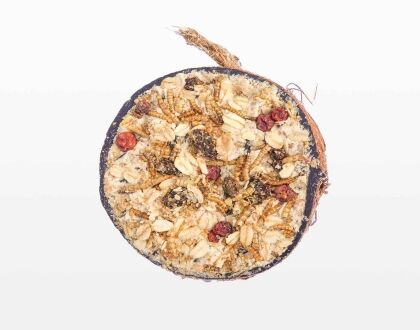 Halve gevulde kokosnoot - Granola