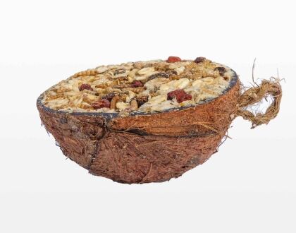 Halve gevulde kokosnoot - Granola - Afbeelding 2