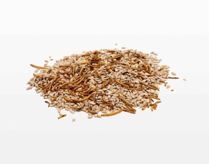 Gepelde zonnebloempitten met meelworme