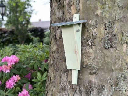 Nestkast Arbor van FSC® gecertificeerd hout, bevestigd aan een boomstam