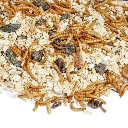 Strooivoer Excellent Muesli, Rozijn en Meelworm