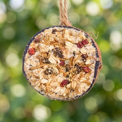 Close-up van halve gevulde kokosnoot met granola