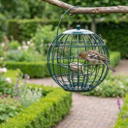 Vink eet uit Vogelpindakaas Start Pakket