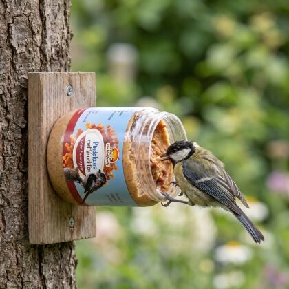 Koolmees eet Vogelpindakaas met Vruchten uit pot in houder