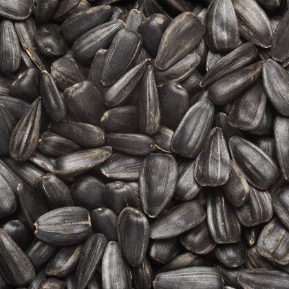 Premium Zwarte Zonnebloempitten