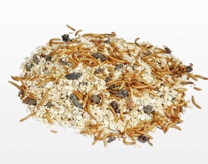 Strooivoer Excellent Muesli, Rozijn en Meelworm: Een topkeuze voor tuinvogels - Afbeelding 2