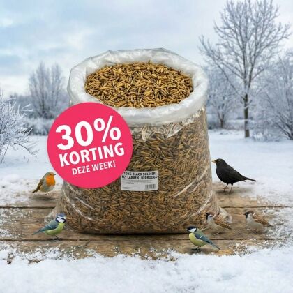 Zak gedroogde larven met 30% korting, vogels erbij.
