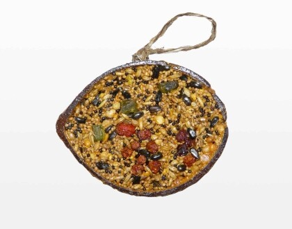 Cocosnoot+zaden+fruit