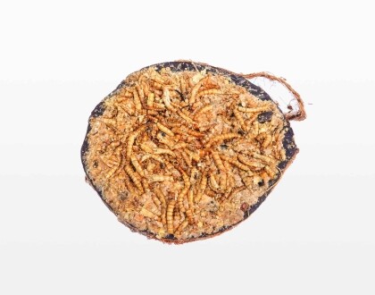 Halve gevulde kokosnoot - Mix - Afbeelding 2