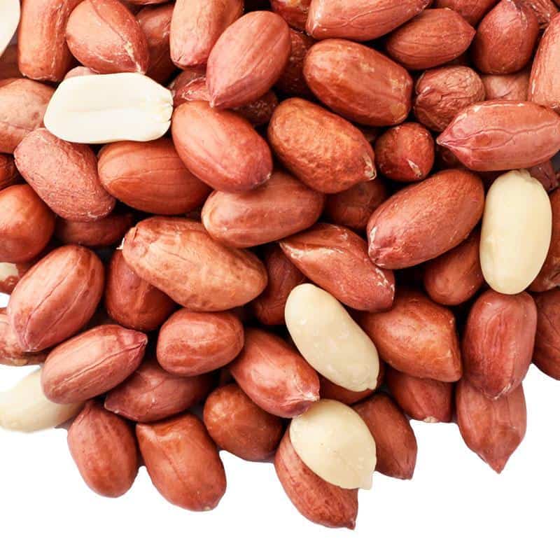 premium gepelde pinda's voor vogels voeren in de tuin