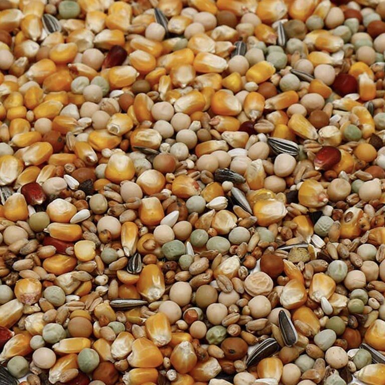 Premium duivenvoer allround mix vogelvoerkopen.nl