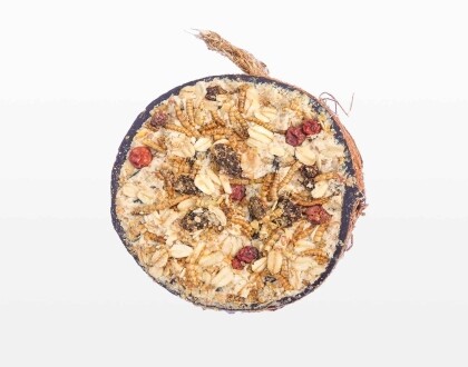 Halve gevulde kokosnoot - Mix - Afbeelding 4