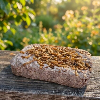 Vogelvoerblok met gedroogde meelwormen op plank