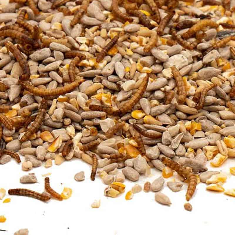 Strooivoer High Energy & No Mess met Meelwormen